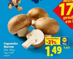 Lidl Cogumelos Marrom promoção