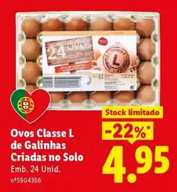 Lidl Ovos Classe L de Galinhas Criadas no Solo promoção