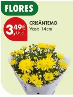 Pingo Doce Crisântemo promoção