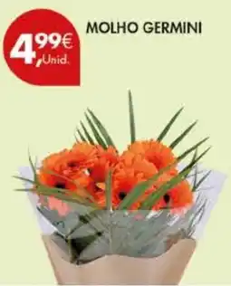 Pingo Doce molho germini promoção