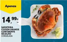 Continente Sapateira cozida grande continente seleção congelada promoção