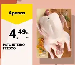 Continente Pato inteiro fresco promoção