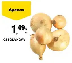 Continente Cebola nova promoção