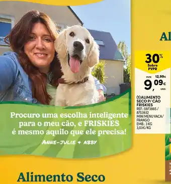 Continente alimento seco p/ cão friskies promoção