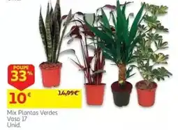 Auchan Mix Plantas Verdes promoção