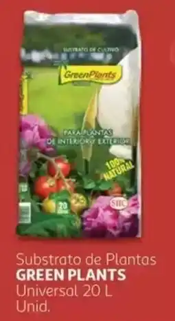 Auchan Substrato de Plantas Green Plants promoção