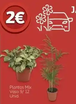 Auchan Plantas Mix promoção