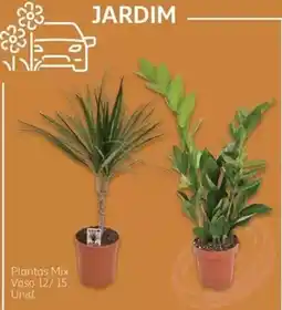 Auchan Plantas Mix promoção