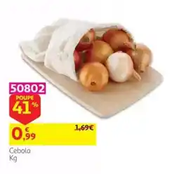 Auchan Cebola promoção