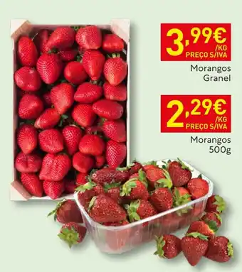Morangos Granel