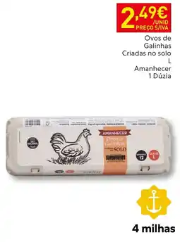 Recheio Ovos de galinhas amanhecer promoção