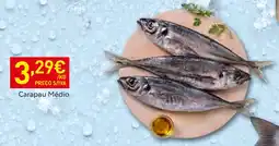 Recheio Carapau Médio promoção
