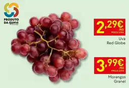 Recheio Uva Red Globe promoção