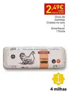 Recheio Amanhecer - ovos de galinhas promoção