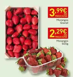 Recheio Morangos promoção