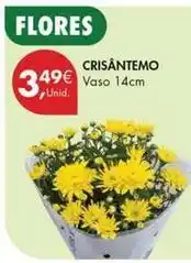 Pingo Doce Crisantemo promoção