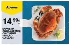 Continente Bom dia Continente - sapateira cozida grande selecao promoção