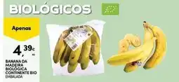 Continente Bom dia Bio - banana da magia bolognica promoção