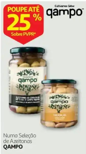 Numa Seleção de Azeitonas QAMPO