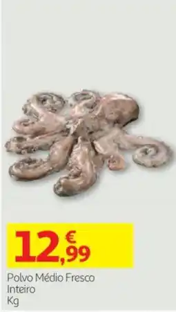 Auchan Polvo Médio Fresco Inteiro promoção