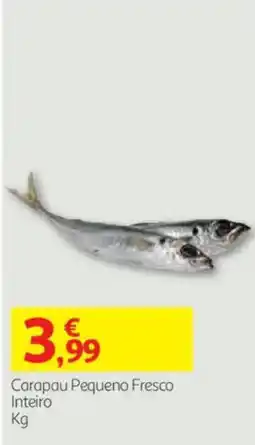 Auchan Carapau Pequeno Fresco Inteiro promoção