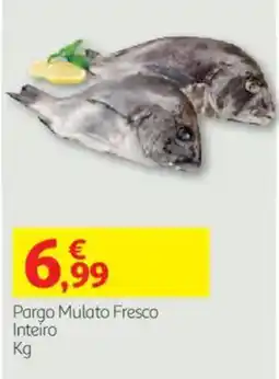 Auchan Pargo Mulato Fresco Inteiro promoção