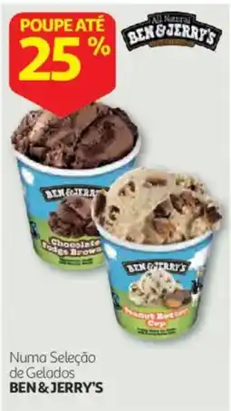 Auchan Numa Seleção de Gelados Ben&Jerry's promoção