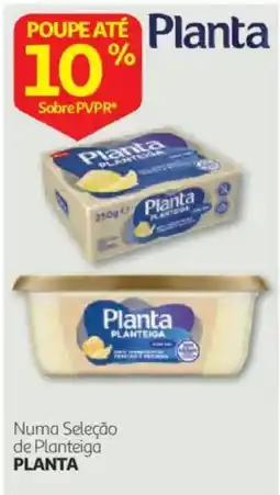 Auchan Planta Planteiga promoção