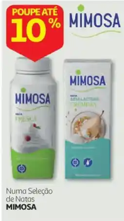 Auchan Nata fresca mimosa promoção