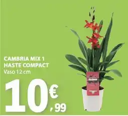 E.Leclerc Cambria mix 1 haste compact promoção