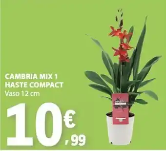 Cambria mix 1 haste compact