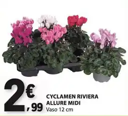 E.Leclerc Cyclamen riviera allure midi promoção