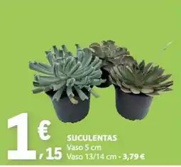E.Leclerc Suculentas promoção