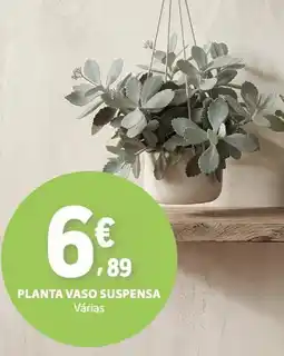 E.Leclerc Planta vaso suspensa promoção