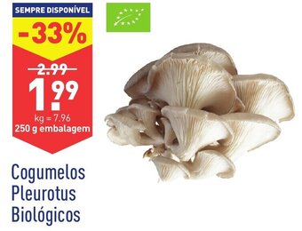 Cogumelos Pleurotus Biológicos 250g