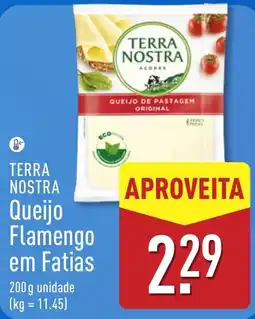 ALDI Terra nostra queijo flamengo em fatias promoção