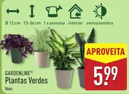 ALDI Gardenline plantas verdes vaso promoção