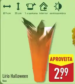 ALDI Lírio Halloween Vaso promoção