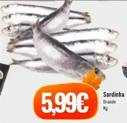 Belita Sardinha Grande promoção