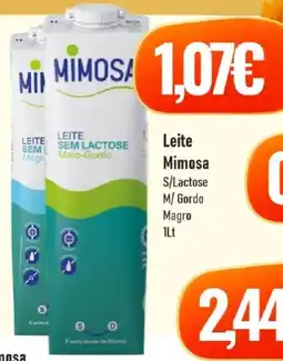 Belita Leite Mimosa S/Lactose M/Gordo Magro promoção
