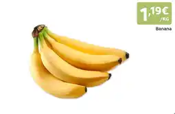 Amanhecer Banana promoção