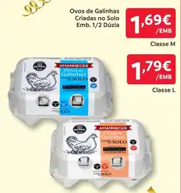 Amanhecer Ovos de Galinhas Amanhecer promoção