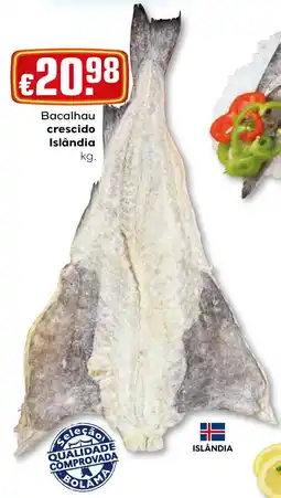 Bolama Bacalhau crescido Islândia promoção
