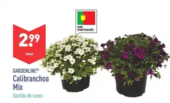 ALDI Gardenline Calibranchoa Mix promoção