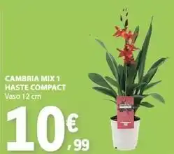 E.Leclerc Mix - cambria 1 haste compact promoção