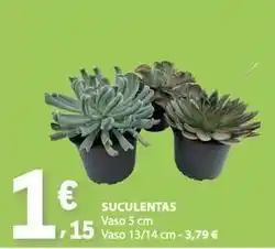 E.Leclerc Suculentas promoção