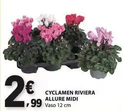E.Leclerc Midi - cyclamen riviera allure midi promoção