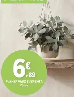 E.Leclerc Planta - vaso suspensa promoção