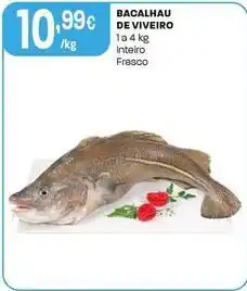 Intermarché Bacalhau de viveiro promoção
