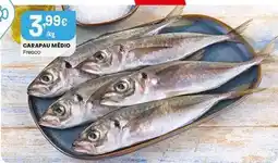 Intermarché Carapau medio promoção